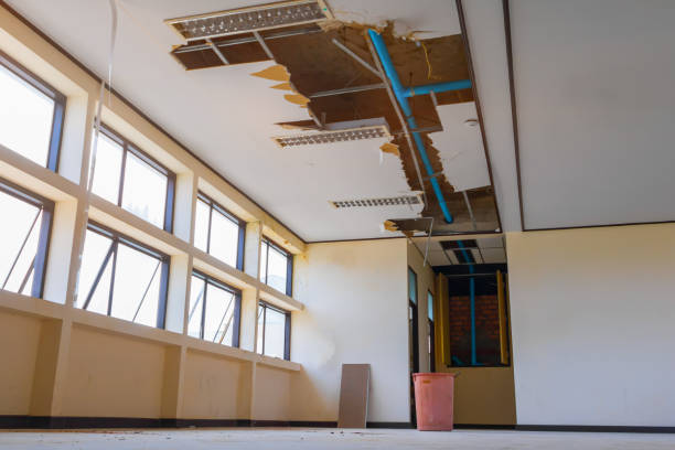 Best Flooded house restoration  in Hillcrest, CA