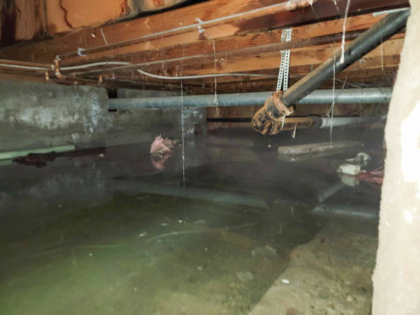 Best Sewage cleanup and water damage restoration  in Hillcrest, CA