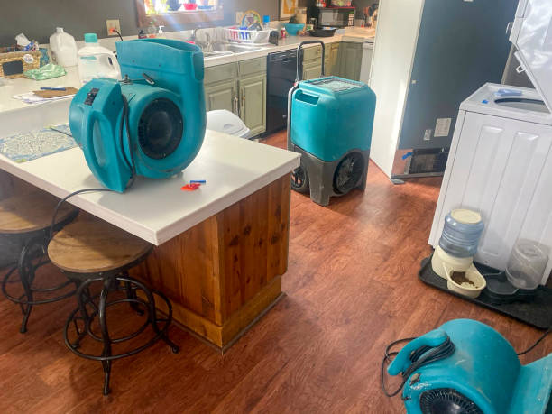 Best Local water damage restoration  in Hillcrest, CA