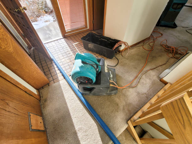 Best Water damage restoration near me  in Hillcrest, CA
