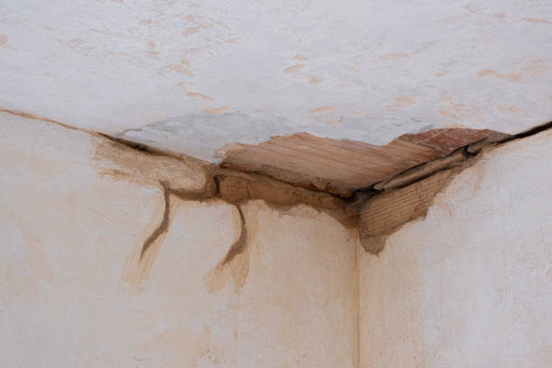 Best Carpet water damage restoration  in Hillcrest, CA