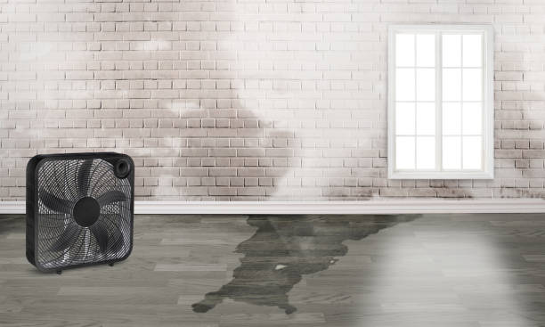 Best 24/7 water damage repair  in Hillcrest, CA