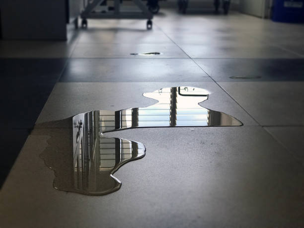 Best 24/7 water damage repair  in Hillcrest, CA
